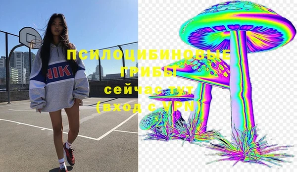 гидра Богородицк