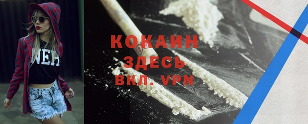 гидра Богородицк