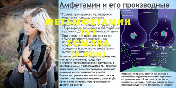 гидра Богородицк