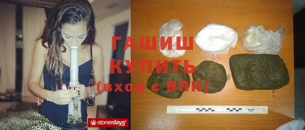 гидра Богородицк