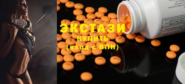 гидра Богородицк