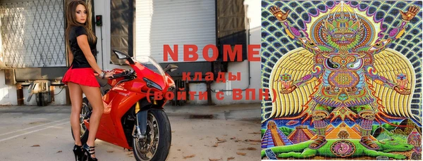 гидра Богородицк
