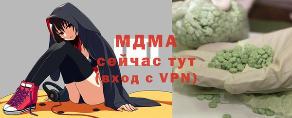 гидра Богородицк