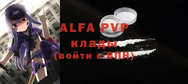 гидра Богородицк