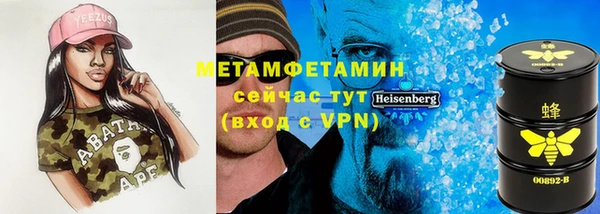 гидра Богородицк