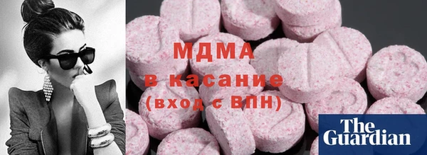 гидра Богородицк