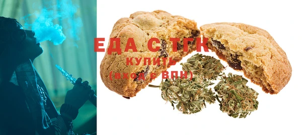 гидра Богородицк