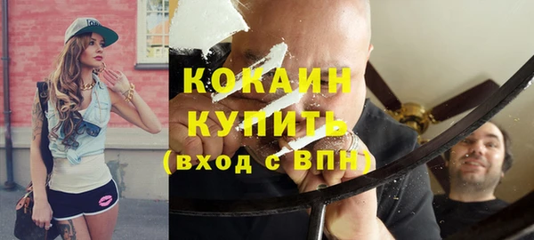 гидра Богородицк